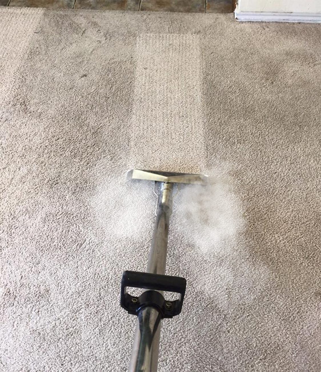 Steam Cleaning Carpets By Auckland Steam N Dry Professionals